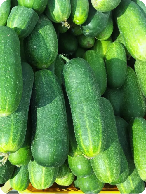 Cucumbers